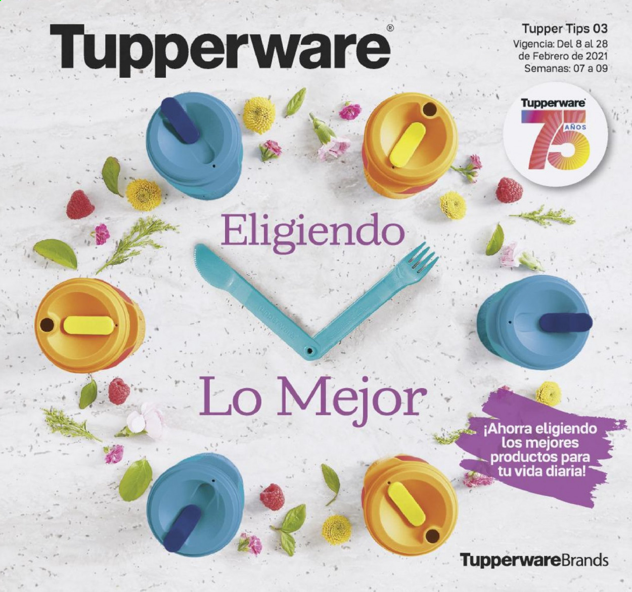 Catálogo Tupperware - 8.2.2021 - 28.2.2021.
