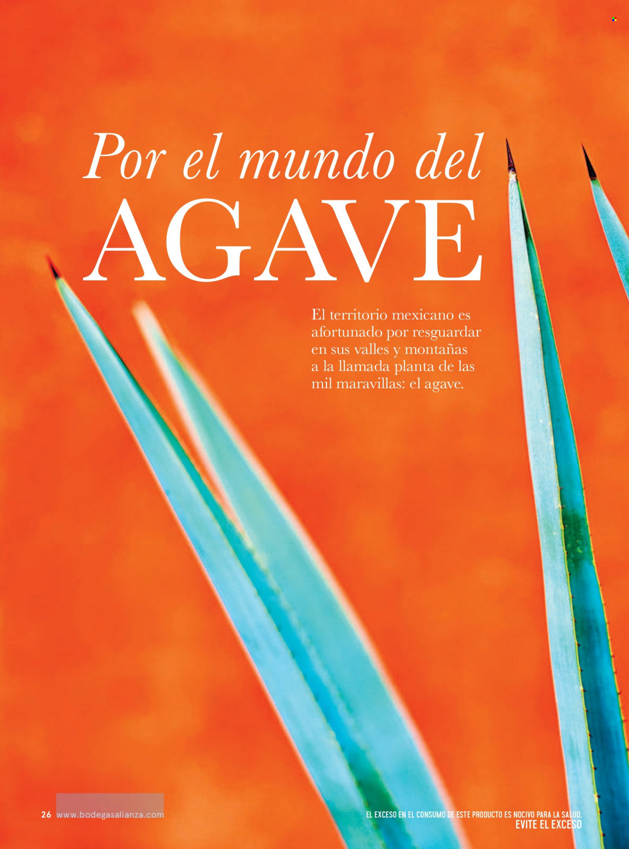 Catálogo Bodegas Alianza - 1.8.2021 - 31.10.2021.