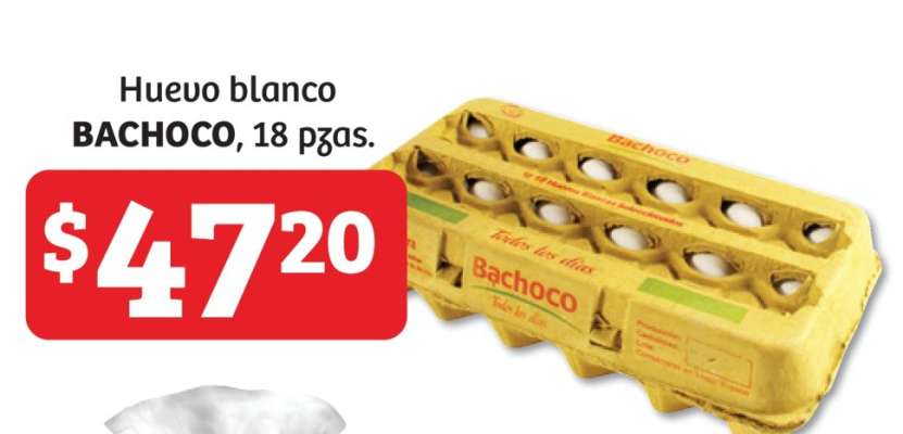 Huevo blanco BACHOCO, 18 pzas.