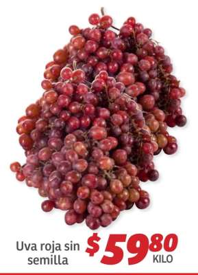 Uva roja sin semilla