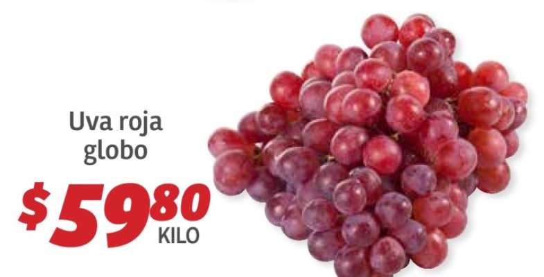 Uva Roja Globo