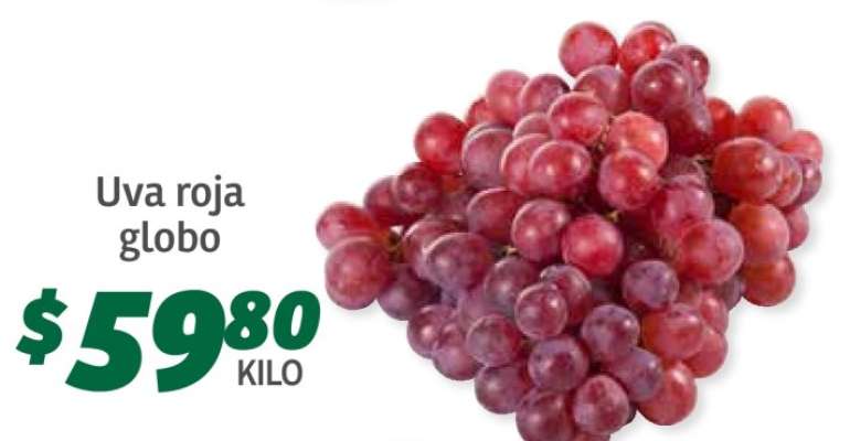 Uva Roja Globo