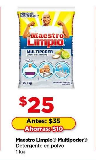 Maestro Limpio Multipoder